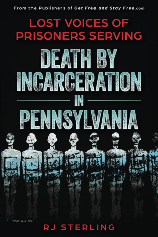 Lost Voices of Prisoners Serving DBI book cover – stories from incarcerated writers.